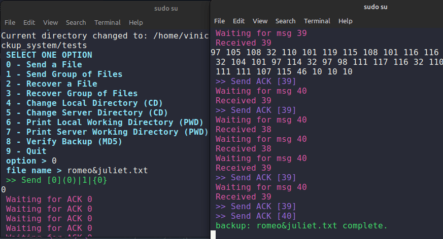 Two terminal windows showing a file transferred between the backup client and server